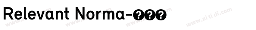 Relevant Norma字体转换